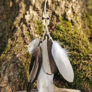 Juuksekaunistus"Öökull ja suled"